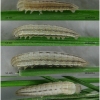 chaz briseis larva2 volg